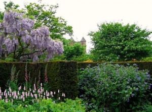 photo credit: UGArdener via photopin cc